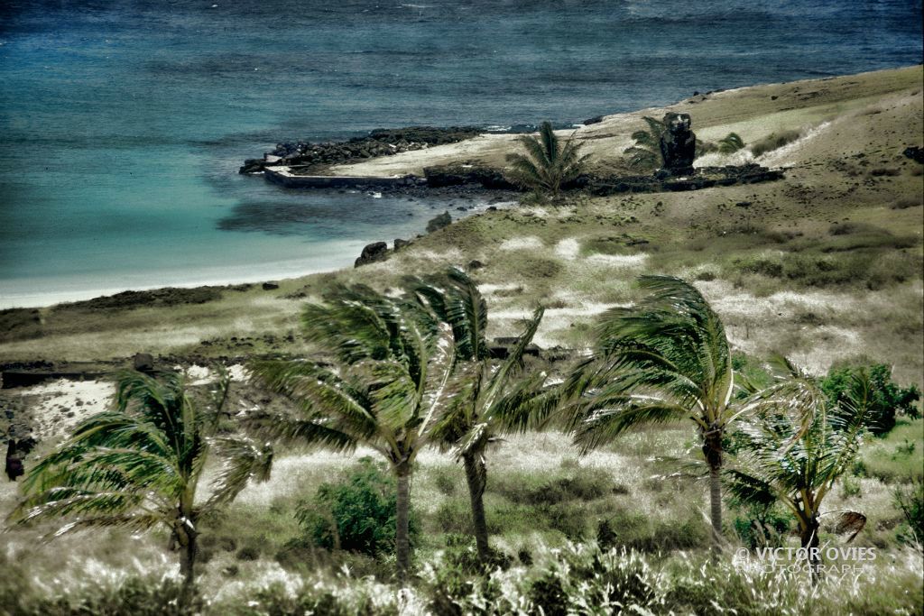 Playa de Anakena - Isla de Pascua - Easter Island - Rapa Nui 